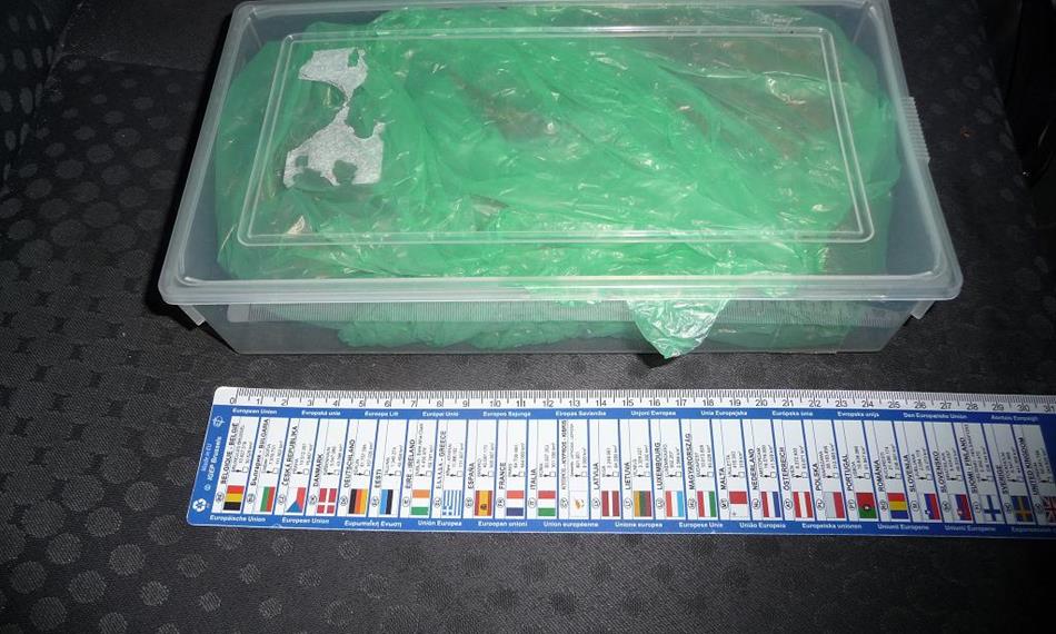 2012-2-28-1056marihuana 4.JPG